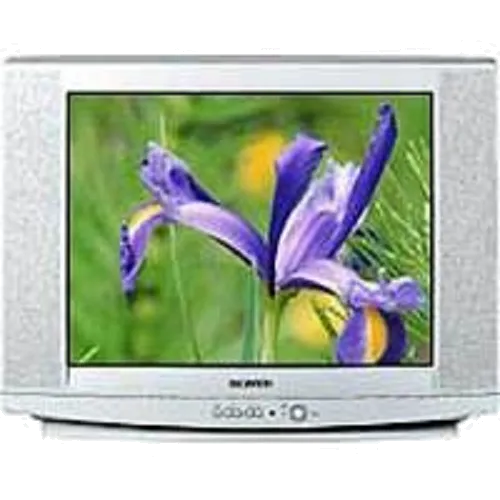 Замена шлейфа матрицы Samsung CS-29U2 WTR