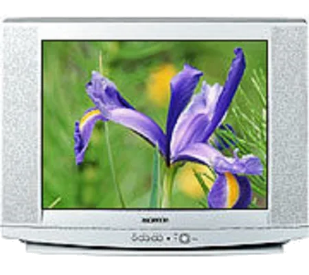 Замена шлейфа матрицы Samsung CS-29U2 R