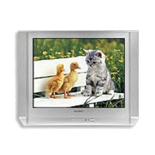 Замена шлейфа матрицы Samsung CS-29 V10 MGR