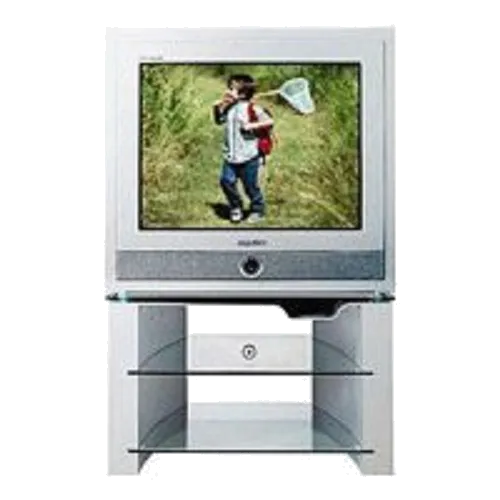 Замена шлейфа матрицы Samsung CS-34Z7HWQ