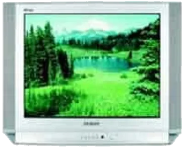 Замена шлейфа матрицы Samsung CS-29D8 WTR