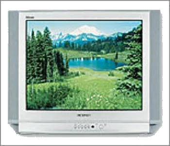 Замена шлейфа матрицы Samsung CS-25D8 WTR